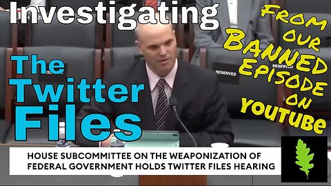 Journalist Matt Taibbi takes on The Twitter Files | The Sherwood Shakeup Closeup [from BANNED Episode 35]