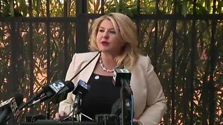 Las Vegas Mayor Pro Tem Michele Fiore addresses charges of "racially charged" comments