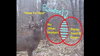 Public Land Hunting Paradise; Whitetails