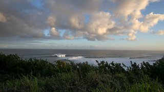 Missing Maui Yoga Instructor Found Weeks After Disappearance