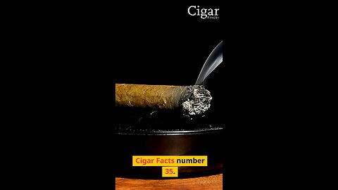 Ever wondered about the history of cigarillos Cigars? Cigar Facts #35 #cigarhistory #cigarfinder