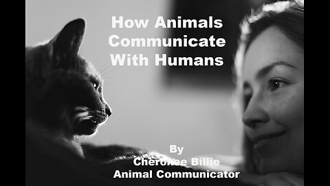 How Animals Communicate With Humans