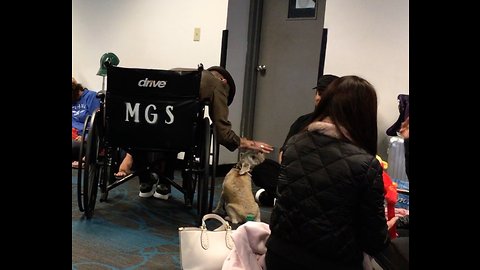 Puppy knows how to gather a crowd at the airport