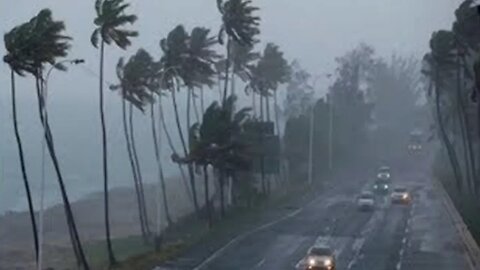 Live Hurricane Irma 9/9/2017 (Tornado Warning)