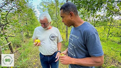 Revolutionizing the U-Pick Orchard w/ Stefan Sobkowiak