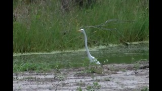 St. Lucie County sides with neighbors