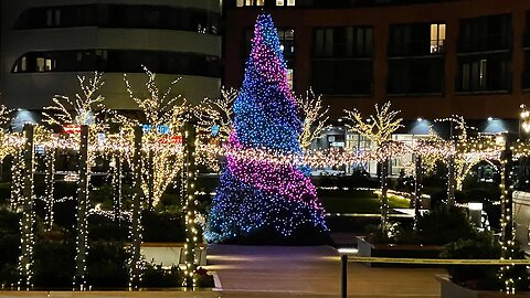 PINK(50 Donald) PURPLE(88 Trump) = 138(Revaluation) CHRISTMAS(110 President) TREE(48 Tom) 🎄🟪🟦🎺💫