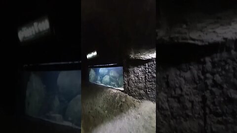 Aquarium biuld inside a Cave.🤔