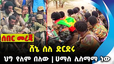 ሸኔ ስለ ድርድሩ | ህግ የለም በለው | ሀማስ ሊስማማ ነው | #ethiopian #ethiopianews | Fano | Shene | News Nov 22 2023