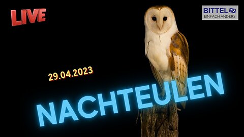 Nachteulen spezial - 29.04.2024