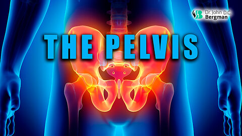 The Pelvis