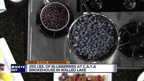 Blueberry Compote with CAYA Smokehouse Grill