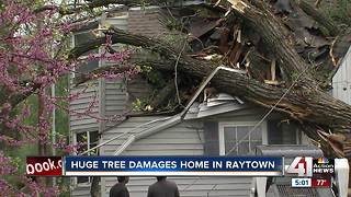 Trees topple onto Raytown homes after storm