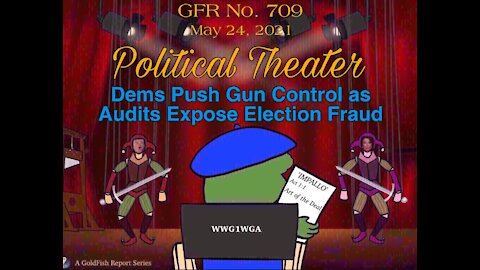 The GoldFish Report No. 709 - Dems Push Gun Control as Audits Expose Election Fraud