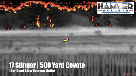 17 Stinger 500 Yard Coyote 18 Dead Blow Hammer