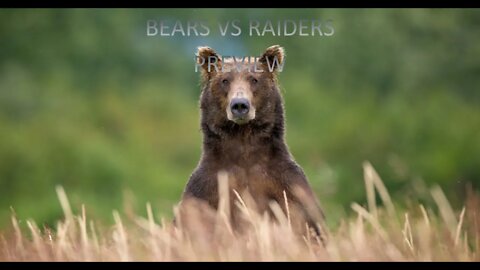 BEARS VS RAIDERS PREVIEW