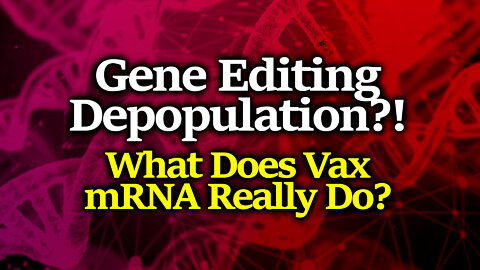 Gene Editing? Depopulation? What Are These Shots Really For? Drs Nagase, Merritt, Fleming, Cowan