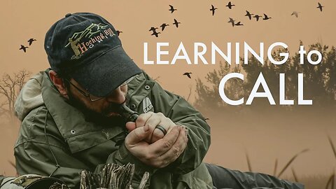 Using Wildlife CALLS for the First Time - It's a Learning Curve