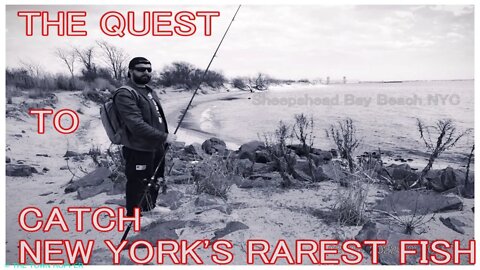 THE QUEST TO CATCH NEW YORK's RAREST FISH #3