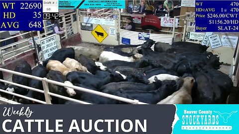 5/23/2023 - Beaver County Stockyards Livestock Auction