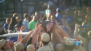 Sabino and Nogales win state baseball championships