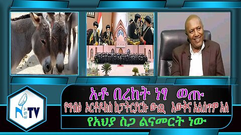ETHIOPIA:NESTTV:አቶ በረከት ነፃ ወጡ / የግብፅ ኦርቶዶክስ ከፓትርያርኩ ውጪ እውቅና አልሰጥም አለ / የአህያ ስጋ ልናመርት ነው