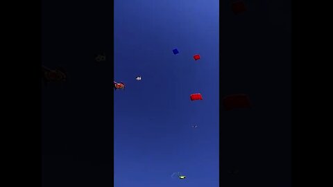 Kite Flying Festival in India