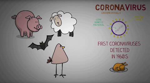 CORONAVIRUS PANDEMIC EXPLAINED - CORONA OUTBREAK 2020