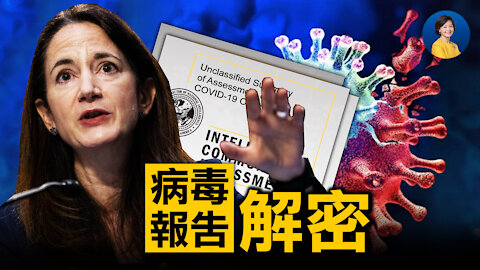 白宮解密溯源報告摘要，美情報機構查到了什麼？最新突變最大毒株出現，已傳入中國！全民打疫苗會帶來不可知後果嗎？| 唐靖遠 林曉旭 | 熱點互動 方菲 08/30/2021