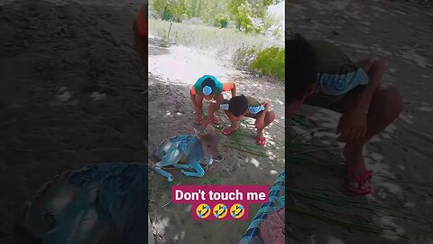 Don't touch me #video #video #funny video Instagram reels 😅😅😂😂