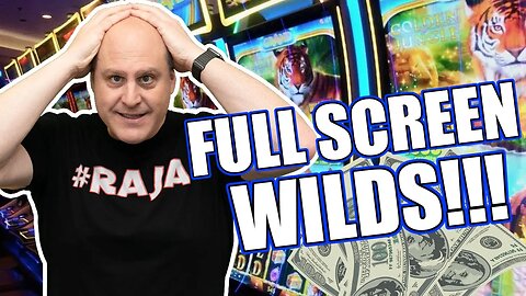 FULL SCREEN OF WILDS PAYS MASSIVE!