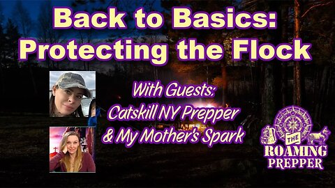 Back To Basics: Protecting The Flock with My Mother's Spark and Catskill NY Prepper