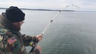 How NOT to boat a fish...