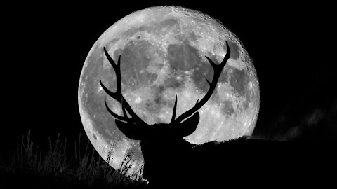 7--23-21 Buck Moon 2:00 AM Moonlight Manifestation Window Invitation - I Have The Link Here Now!!