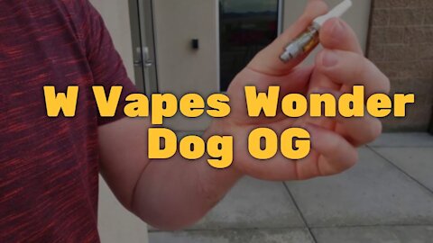 Over 92% THC! W Vapes Wonder Dog OG: Another impressive syringe