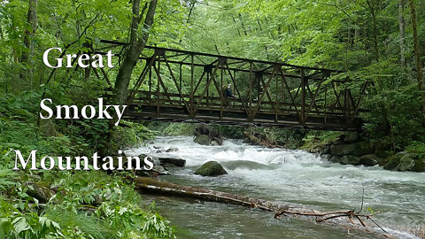 Smoky Mountains: Bradley Fork, Cabin Flats And Rain