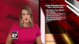 AAA Michigan: Statewide average daily gas price falls by 5 cents
