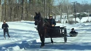 Un Amish tracte ses enfants en luge avec son cheval et son chariot