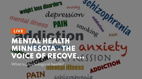Mental Health Minnesota - The Voice of Recovery Fundamentals Explained