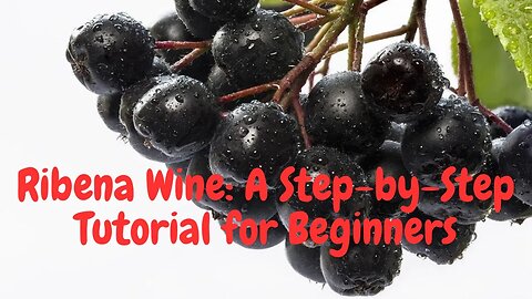 Ribena Wine A Step by Step Tutorial for Beginners #wine