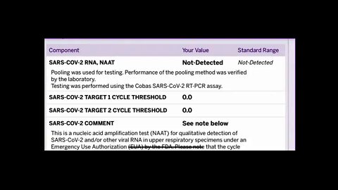 My 2 Cycle PCR Test 😂