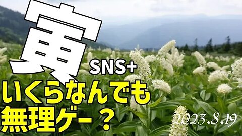 寅親分🐯いくらなんでも無理ゲー？🔥ハワイの山火事[写真アップ拒否されましたwww]050819