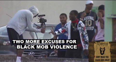 Colin Flaherty: Two New Excuses For Black Mob Violence 2018