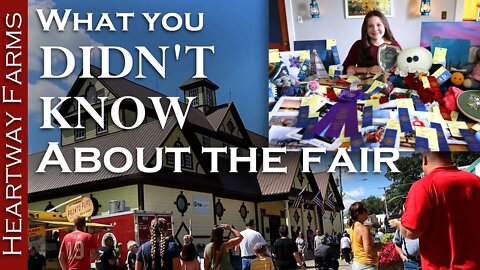 How YOU can make Money💰 at your fair! | Homemade Arts and Crafts | Photography | Sandwich Fair | 4H