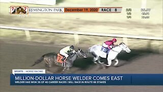 Million-dollar Oklahoma horse "Welder" comes east