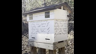Are Those Steps Traditional Beekeepers Take Really Necessary?