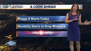 10News Pinpoint Weather with Meteorologist Megan Parry