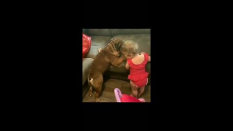 Funny Dog copy the Baby girl Movement