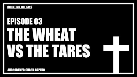 Episode 03 - The Wheat vs. The Tares