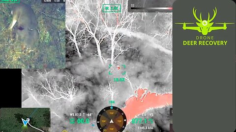 Thermal Drone Found Shoulder Hit Buck